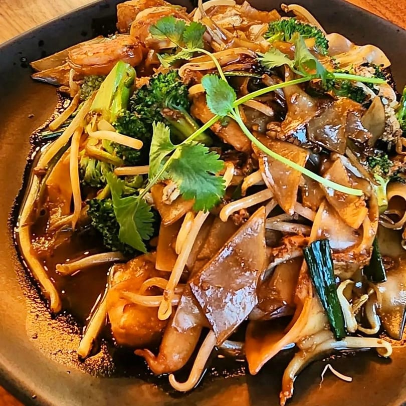 Veo Cafe's Asian-fusion dish with wide noodles, broccoli, bean sprouts, and cilantro in a dark sauce.